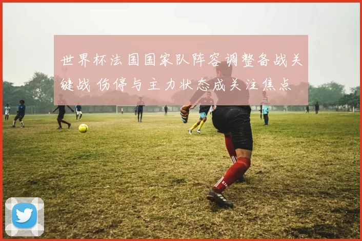 世界杯法国国家队阵容调整备战关键战 伤停与主力状态成关注焦点