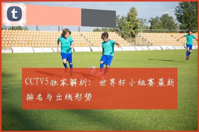 专访法国队核心：揭秘世界杯冠军成员的训练日常