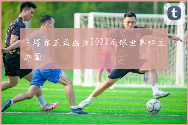 卡塔尔正式成为2022足球世界杯主办国