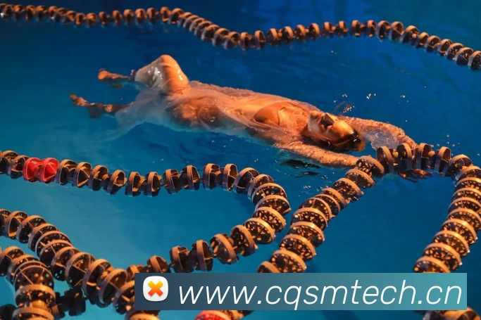 数据防护可视化